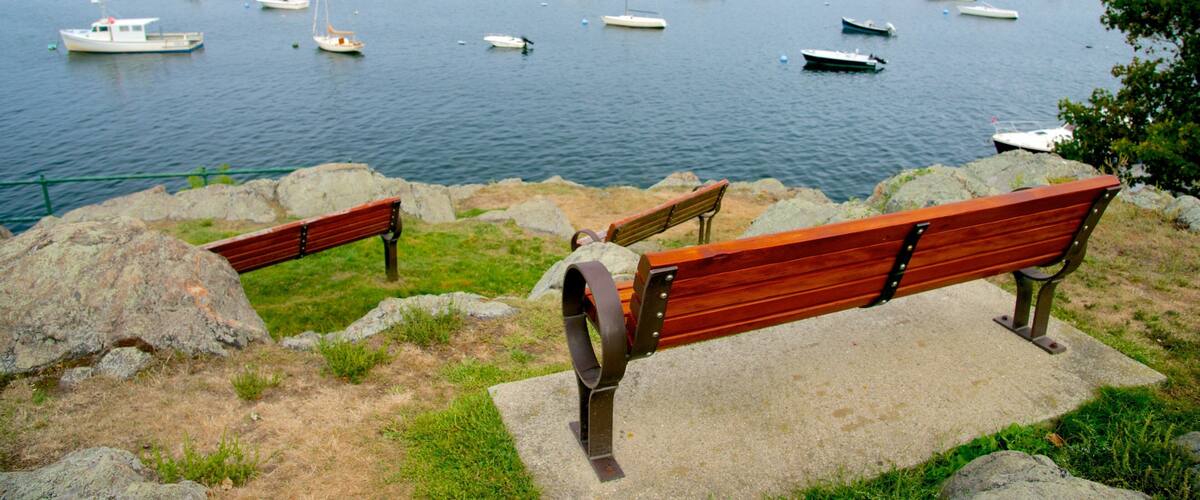 A harbor with numerous boats and two wooden benches overlooking the water.