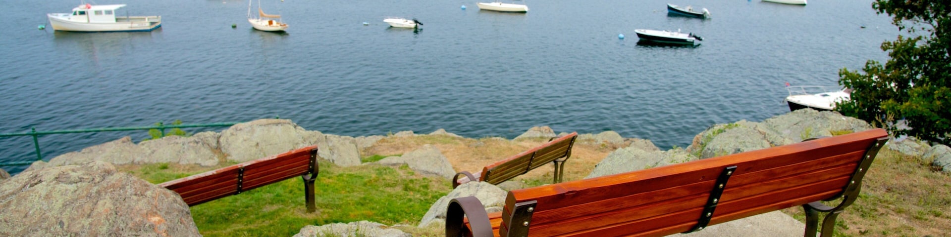 A harbor with numerous boats and two wooden benches overlooking the water.