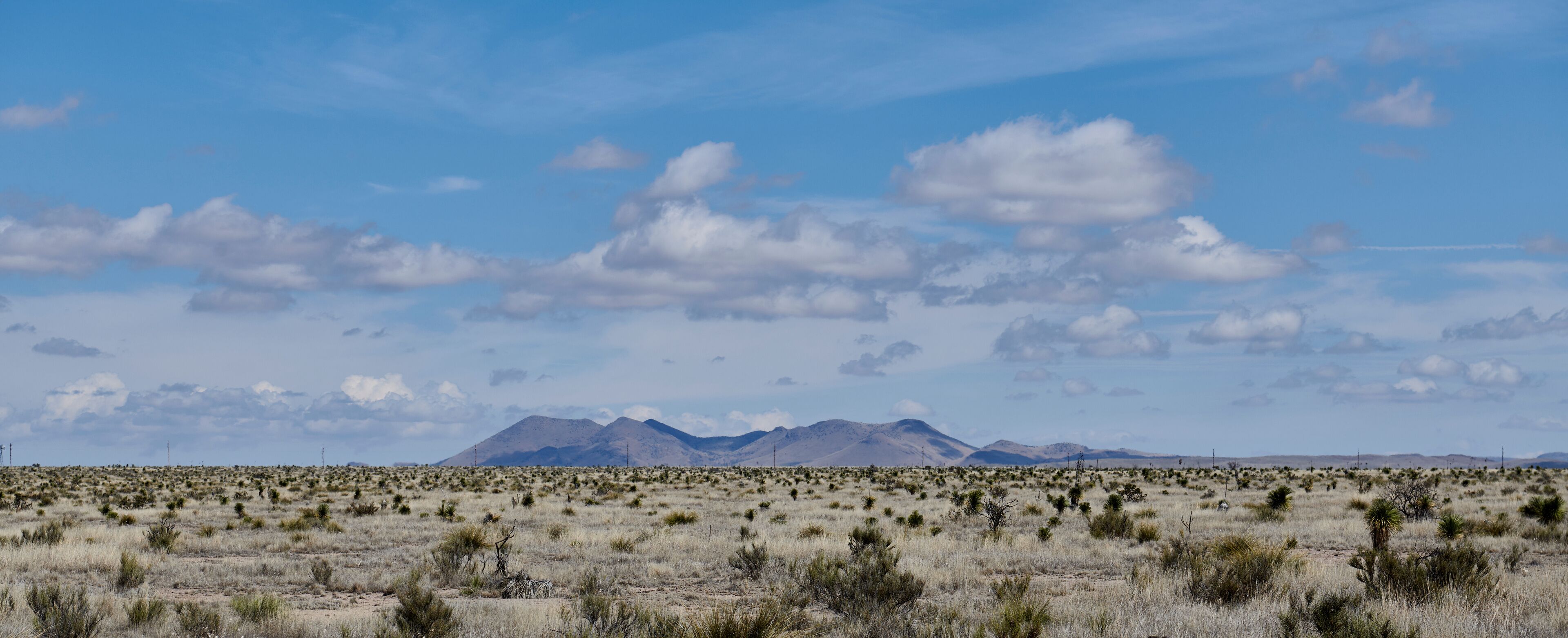 Marfa Texas Landscape