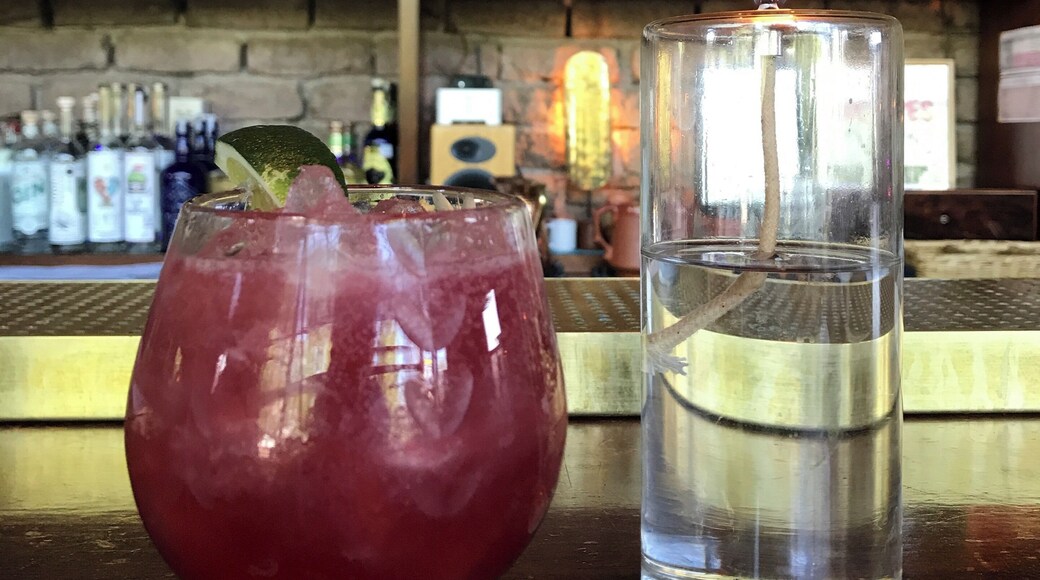 Hibiscus martini in west Texas bar/ resto. Great garden. Cool Tex mex feel.