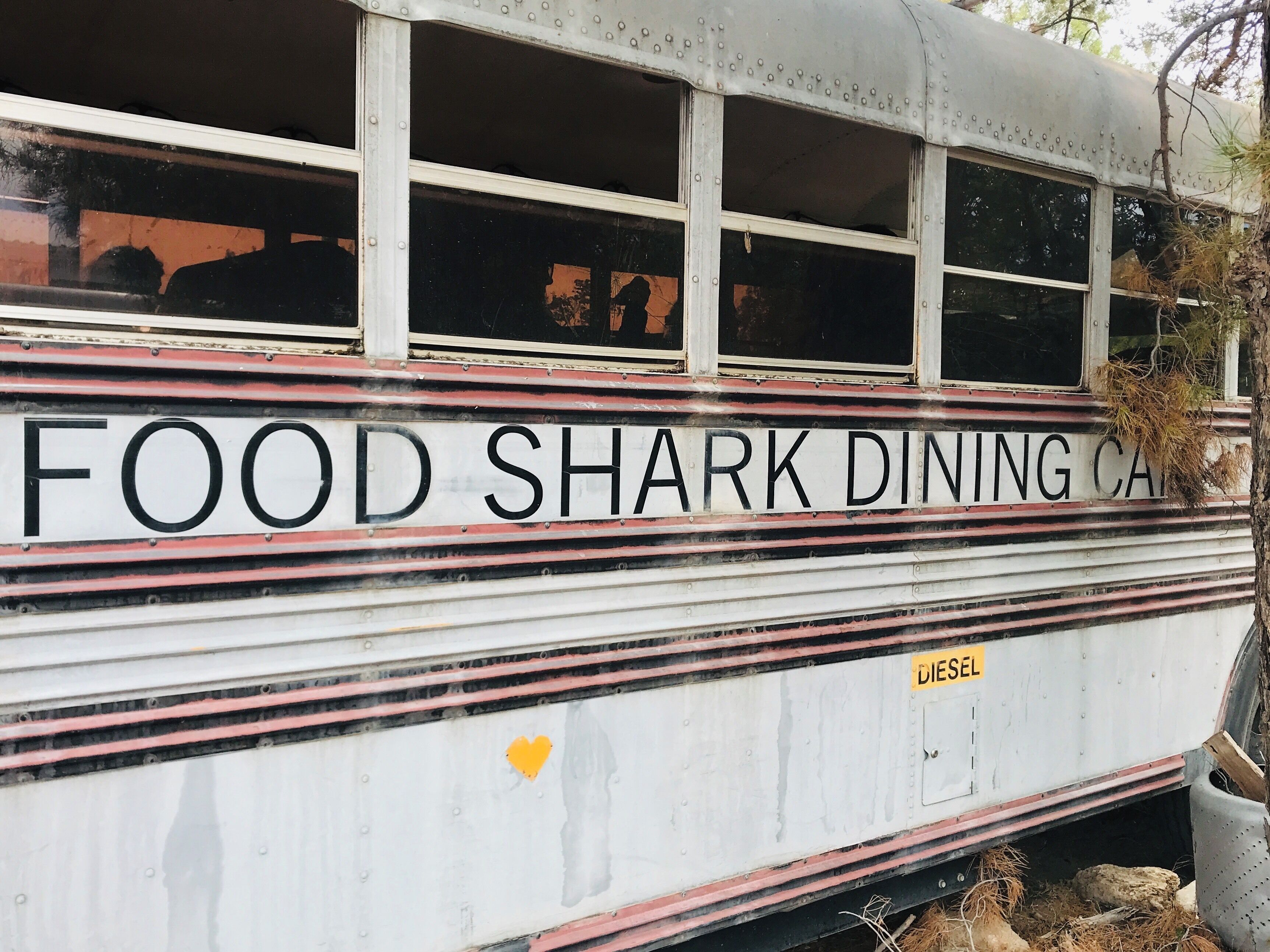 Marfa style Mediterranean food served out of a truck right across from a school bus converted into a dining room all part of a larger courtyard which is the Food Shark. My Marfalafel was delicious.