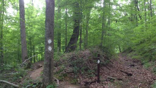 At MM it's easy to get lost if you take one of myriad of off trail shoots and even the marked trails are poorly marked, so have a non-Internet/cell compass! Night hiking is allowed.