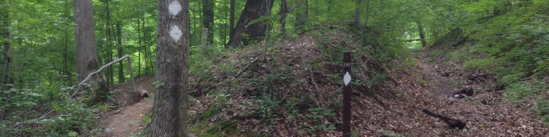 At MM it's easy to get lost if you take one of myriad of off trail shoots and even the marked trails are poorly marked, so have a non-Internet/cell compass! Night hiking is allowed.