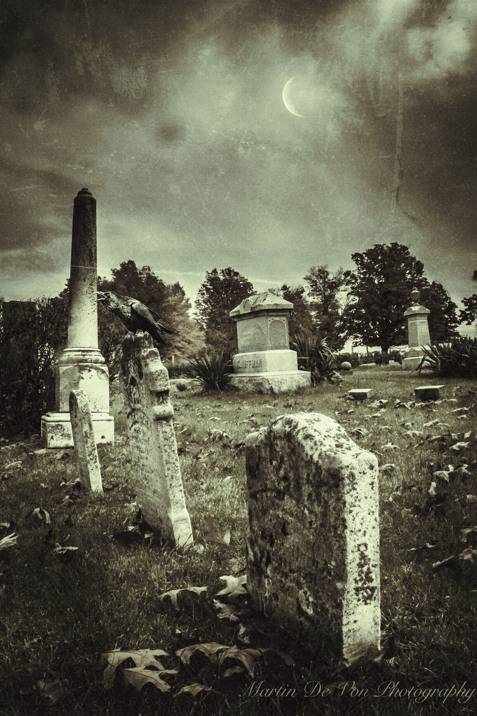 As Halloween is quickly approaching I'd thought I'd post one of the most haunting places in Indiana. 

Elements of folklore and the supernatural also pervade the story of one of the most famous haunted cemeteries in the state of Indiana. Located off of Old State Highway 37 in the Morgan-Monroe State Forest is a small, abandoned cemetery around which a number of eerie legends have appeared.

It is called Stepp Cemetery and it is a desolate and lonely place that can be found at the end of a narrow, dirt trail that winds back into a veritable wilderness. Such a place would have long been forgotten if it wasn’t for the weird tales that are still told about it. Only two dozen of so grave markers remain here and all of them are old and crumbling, as no one has been buried in this tiny graveyard in decades. Along the southern edge of the grounds is a row of tombstones and nearby is a worn tree stump that looks to be vaguely in the shape of a chair. 



Depending on which version of the Stepp Cemetery legend that you hear, one of these graves seems to be the focus of the paranormal activity in the cemetery. Does the grave marker belong to that of a child? A road worker who was killed before his time? Or a teenager who met a tragic end? The stories vary, but one part of them all stays the same... each of them tells of a ghostly woman who watches over the gravesite, and the cemetery, in the darkest hours of the night. Over the years, scores of people have claimed that she is seen in the darkness, seated on the old tree stump that is found nearby. There, she waits silently, watching over and protecting the grave of her loved one.

The history of this cemetery is nearly as mysterious as the ghost who is found here. No one really seems to know when the burial ground was started, or by who. Forest rangers will tell visitors that some area families founded it, but local rumors state that a now defunct religious cult called the “Crabbites” may have had some connection to it. Apparently, this peculiar sect conducted services that included snake handling, speaking in tongues and sex orgies. Local lore has it that a deputy from the area once stated that he had been called to the cemetery late one night to break up a particularly bizarre Crabbite ritual. The story says that he had to use a bullwhip to settle things down!

The legend of the spectral woman is just as strange. In his book Haunted Indiana, author Mark Marimen tells of a young woman who came to the region from the east. Her husband went to work in one of the local quarries and they settled down and had a daughter. One afternoon, her husband was killed in a dynamite explosion at the quarry and was buried in Stepp Cemetery. After that, her daughter became her entire life and she watched over her constantly as she got older, attended school and later met a young man of her own. But unfortunately, her happiness was not to be. One rainy night, when coming home from a date, the young couple was killed in auto accident. In a repetition of the earlier tragedy, the daughter too was buried in Steep Cemetery. Her mother would never recover from the girl’s death.

Soon, she began to make nightly treks to the cemetery, where she would sit for hours, talking to her dead husband and daughter as if they were still alive. An old tree stump that was near to the graves made a comfortable, makeshift chair for her visits. It was here where locals who passed by the cemetery began to see a woman in black sitting and weeping as the sun fell from the sky. It was said that if anyone approached her, she would run away and hide in the woods and would not return until they had gone. Soon, local residents began to avoid the graveyard, as it was believed the woman was crazy.

Eventually, she too died and, according to the legend, was also buried in Stepp Cemetery. Her spirit is still said to be restless today though, lingering in the graveyard and watching over the remains of her family. Many people believe that her ghost can still be seen at Stepp on nights of the full moon, when the woman in black returns to the stump and is visible to those of us still among the living. Those who doubt the legend to be true should take into account the many strange sightings that have taken place over the years. The most chilling encounters take place when visitors leave the cemetery shaken after having seen a black figure rise from the old tree stump and turn toward them in the darkness. The descriptions they give of the woman in black are strikingly similar as well. She is said to have long, white hair, although she is not old, but rather the color was bleached from her hair by shock.

Those who do not see the mournful apparition still often have their own tales to tell. It has been said that strange sounds sometimes emanate from the cemetery grounds. Law enforcement officials and park rangers are said to have received reports of a woman sobbing in the cemetery at night. When they go to check and see if anyone is injured or ill, they find that no one is there.

Descriptions of the ghostly woman and her heartbreaking cries have not changed much over the years, but the origins of the phantom often vary with each teller of the tale. There are a variety of different stories that supposedly explain the mysterious appearance of the spirit and here are a few of them:

- In the 1950’s, a young girl was murdered in the vicinity and her body was dumped at Stepp Cemetery. The girl’s mother never gave up the search for her daughter’s killer, even after death. Her ghost now returns to the graveyard and watches over the girl’s grave, waiting to revenge herself on the murderer.

- When they were building the Morgan-Monroe County Forestry many years ago, a man was killed working construction. He was buried in Stepp Cemetery and his wife came there to watch over his grave. Her ghost still returns to the spot today.

- A young child was killed in an auto accident in the 1920’s and blaming herself, the little girl’s mother would come to the cemetery to mourn at her grave. Distraught, she disinterred her daughter’s body so that she could hold it one last time. She was found the next day, having committed suicide. Her ghost still haunts the cemetery today.

In more recent times, the story of the woman in black has taken on some of the elements of the classic “urban legend” tales. In one version, she appears as the mythical “Hook” (which was discussed in an earlier chapter). The story goes that a woman and her son were involved in a horrible auto accident. The little boy was killed and buried in Stepp Cemetery and his mother’s hand was severed at the wrist and was replaced with a metal hook. The boy had always been afraid of the dark and his heartbroken mother came to his grave and watched over him every night. She continued to do so even after death and her ghost now warns away strangers, waving her hook at those who come to close to the grave.

Another story also serves as a warning to teenagers who park in cars. In this tale, a young couple goes for a drive in the state forest at night. While they are driving, the girl tells her boyfriend that she no longer loves him and doesn’t want to see him anymore. Angry, the boy forces her to get out of the car and he drives away, leaving her alone in the dark woods. The girl vanishes without a trace and her mother begins endlessly searching the forest for the girl until she too vanishes. Today, her ghost appears in the vicinity of the cemetery and prowls about in the darkness. The ghost of the girl’s mother allegedly frightens teenagers who come there to go parking. It is said that her face suddenly appears outside, peering into the windows.... looking to see if her daughter might be in the car!

While the stories have changed many times over the years, it does seem possible that the story of the woman in black may have been based on a real event that occurred many years ago. True or not though, Stepp Cemetery has become a landmark in the Morgan-Monroe State Forest and is a popular stop for ghost hunters, curiosity-seekers and those with an interest in eerie folklore.

Many of those who come here wonder if the story of the ghostly woman can be true? Perhaps the story is just a compelling piece of Hoosier folklore, or perhaps not. Those who are convinced that the tale is merely the creation of someone’s imagination often confess to a feeling of doubt when they see the twisted tree stump that looks remarkably like a chair on the far side of the cemetery. If the old stump truly exists, they ponder, can they woman in black exist as well?

Stepp Cemetery is located north of Bloomington, Indiana on Highway 37. There is a stone wall alongside the road in the Morgan-Monroe State Forest and a dirt path there leads back to the cemetery.
