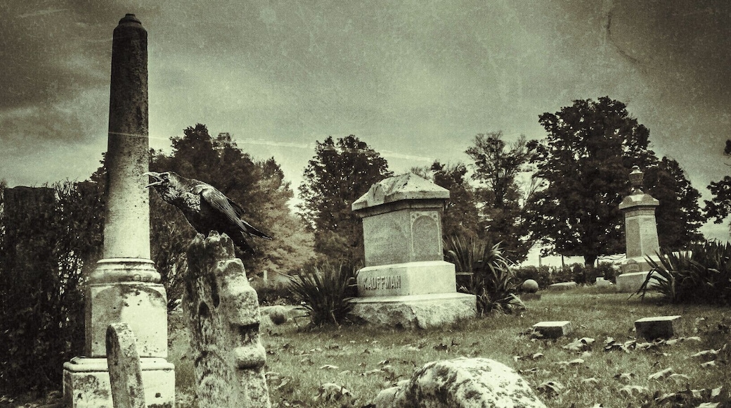 As Halloween is quickly approaching I'd thought I'd post one of the most haunting places in Indiana.
Elements of folklore and the supernatural also pervade the story of one of the most famous haunted cemeteries in the state of Indiana. Located off of Old State Highway 37 in the Morgan-Monroe State Forest is a small, abandoned cemetery around which a number of eerie legends have appeared.
It is called Stepp Cemetery and it is a desolate and lonely place that can be found at the end of a narrow, dirt trail that winds back into a veritable wilderness. Such a place would have long been forgotten if it wasn’t for the weird tales that are still told about it. Only two dozen of so grave markers remain here and all of them are old and crumbling, as no one has been buried in this tiny graveyard in decades. Along the southern edge of the grounds is a row of tombstones and nearby is a worn tree stump that looks to be vaguely in the shape of a chair.
Depending on which version of the Stepp Cemetery legend that you hear, one of these graves seems to be the focus of the paranormal activity in the cemetery. Does the grave marker belong to that of a child? A road worker who was killed before his time? Or a teenager who met a tragic end? The stories vary, but one part of them all stays the same... each of them tells of a ghostly woman who watches over the gravesite, and the cemetery, in the darkest hours of the night. Over the years, scores of people have claimed that she is seen in the darkness, seated on the old tree stump that is found nearby. There, she waits silently, watching over and protecting the grave of her loved one.
The history of this cemetery is nearly as mysterious as the ghost who is found here. No one really seems to know when the burial ground was started, or by who. Forest rangers will tell visitors that some area families founded it, but local rumors state that a now defunct religious cult called the “Crabbites” may have had some connection to it. Apparently, this peculiar sect conducted services that included snake handling, speaking in tongues and sex orgies. Local lore has it that a deputy from the area once stated that he had been called to the cemetery late one night to break up a particularly bizarre Crabbite ritual. The story says that he had to use a bullwhip to settle things down!
The legend of the spectral woman is just as strange. In his book Haunted Indiana, author Mark Marimen tells of a young woman who came to the region from the east. Her husband went to work in one of the local quarries and they settled down and had a daughter. One afternoon, her husband was killed in a dynamite explosion at the quarry and was buried in Stepp Cemetery. After that, her daughter became her entire life and she watched over her constantly as she got older, attended school and later met a young man of her own. But unfortunately, her happiness was not to be. One rainy night, when coming home from a date, the young couple was killed in auto accident. In a repetition of the earlier tragedy, the daughter too was buried in Steep Cemetery. Her mother would never recover from the girl’s death.
Soon, she began to make nightly treks to the cemetery, where she would sit for hours, talking to her dead husband and daughter as if they were still alive. An old tree stump that was near to the graves made a comfortable, makeshift chair for her visits. It was here where locals who passed by the cemetery began to see a woman in black sitting and weeping as the sun fell from the sky. It was said that if anyone approached her, she would run away and hide in the woods and would not return until they had gone. Soon, local residents began to avoid the graveyard, as it was believed the woman was crazy.
Eventually, she too died and, according to the legend, was also buried in Stepp Cemetery. Her spirit is still said to be restless today though, lingering in the graveyard and watching over the remains of her family. Many people believe that her ghost can still be seen at Stepp on nights of the full moon, when the woman in black returns to the stump and is visible to those of us still among the living. Those who doubt the legend to be true should take into account the many strange sightings that have taken place over the years. The most chilling encounters take place when visitors leave the cemetery shaken after having seen a black figure rise from the old tree stump and turn toward them in the darkness. The descriptions they give of the woman in black are strikingly similar as well. She is said to have long, white hair, although she is not old, but rather the color was bleached from her hair by shock.
Those who do not see the mournful apparition still often have their own tales to tell. It has been said that strange sounds sometimes emanate from the cemetery grounds. Law enforcement officials and park rangers are said to have received reports of a woman sobbing in the cemetery at night. When they go to check and see if anyone is injured or ill, they find that no one is there.
Descriptions of the ghostly woman and her heartbreaking cries have not changed much over the years, but the origins of the phantom often vary with each teller of the tale. There are a variety of different stories that supposedly explain the mysterious appearance of the spirit and here are a few of them:
- In the 1950’s, a young girl was murdered in the vicinity and her body was dumped at Stepp Cemetery. The girl’s mother never gave up the search for her daughter’s killer, even after death. Her ghost now returns to the graveyard and watches over the girl’s grave, waiting to revenge herself on the murderer.
- When they were building the Morgan-Monroe County Forestry many years ago, a man was killed working construction. He was buried in Stepp Cemetery and his wife came there to watch over his grave. Her ghost still returns to the spot today.
- A young child was killed in an auto accident in the 1920’s and blaming herself, the little girl’s mother would come to the cemetery to mourn at her grave. Distraught, she disinterred her daughter’s body so that she could hold it one last time. She was found the next day, having committed suicide. Her ghost still haunts the cemetery today.
In more recent times, the story of the woman in black has taken on some of the elements of the classic “urban legend” tales. In one version, she appears as the mythical “Hook” (which was discussed in an earlier chapter). The story goes that a woman and her son were involved in a horrible auto accident. The little boy was killed and buried in Stepp Cemetery and his mother’s hand was severed at the wrist and was replaced with a metal hook. The boy had always been afraid of the dark and his heartbroken mother came to his grave and watched over him every night. She continued to do so even after death and her ghost now warns away strangers, waving her hook at those who come to close to the grave.
Another story also serves as a warning to teenagers who park in cars. In this tale, a young couple goes for a drive in the state forest at night. While they are driving, the girl tells her boyfriend that she no longer loves him and doesn’t want to see him anymore. Angry, the boy forces her to get out of the car and he drives away, leaving her alone in the dark woods. The girl vanishes without a trace and her mother begins endlessly searching the forest for the girl until she too vanishes. Today, her ghost appears in the vicinity of the cemetery and prowls about in the darkness. The ghost of the girl’s mother allegedly frightens teenagers who come there to go parking. It is said that her face suddenly appears outside, peering into the windows.... looking to see if her daughter might be in the car!
While the stories have changed many times over the years, it does seem possible that the story of the woman in black may have been based on a real event that occurred many years ago. True or not though, Stepp Cemetery has become a landmark in the Morgan-Monroe State Forest and is a popular stop for ghost hunters, curiosity-seekers and those with an interest in eerie folklore.
Many of those who come here wonder if the story of the ghostly woman can be true? Perhaps the story is just a compelling piece of Hoosier folklore, or perhaps not. Those who are convinced that the tale is merely the creation of someone’s imagination often confess to a feeling of doubt when they see the twisted tree stump that looks remarkably like a chair on the far side of the cemetery. If the old stump truly exists, they ponder, can they woman in black exist as well?
Stepp Cemetery is located north of Bloomington, Indiana on Highway 37. There is a stone wall alongside the road in the Morgan-Monroe State Forest and a dirt path there leads back to the cemetery.