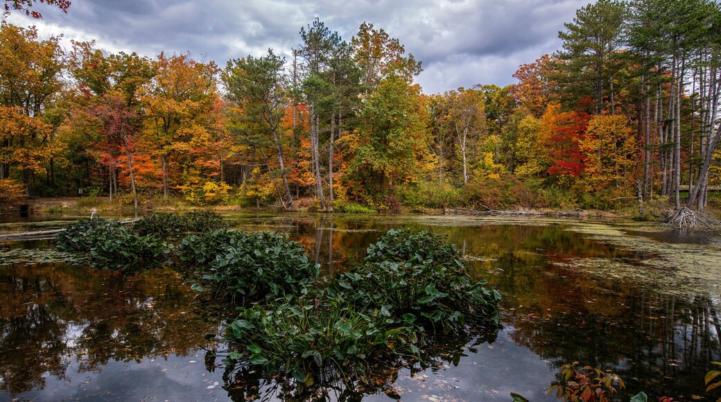Wonderful Autumn Colors at the Lake