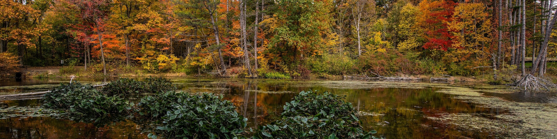Wonderful Autumn Colors at the Lake