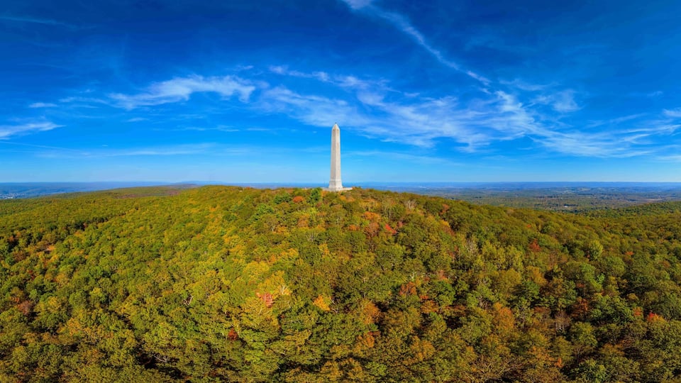 A tall white monument on a hilltop surrounded by dense forest.