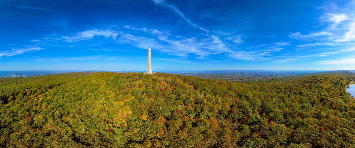 A tall white monument on a hilltop surrounded by dense forest.