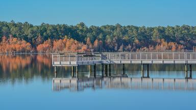 A calm lake with a wooden pier extending into the water, surrounded by autumn-colored trees.