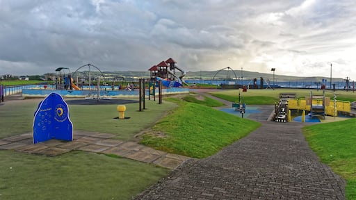 Ayr
