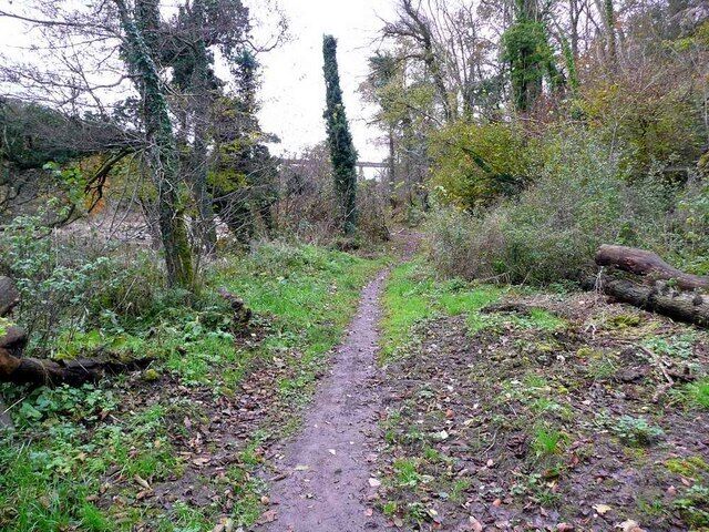 The River Ayr Way approaching the Enterkine Viaduct