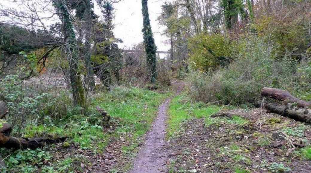The River Ayr Way approaching the Enterkine Viaduct
