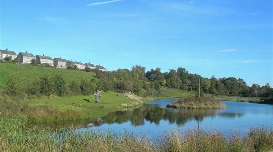 Small Fishery Viewed from the River Ayr Way, near Annbank.