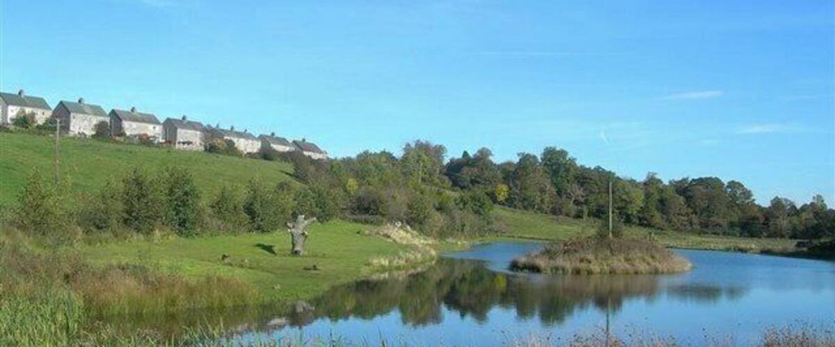 A calm lake surrounded by grassy banks, a small island, and houses in the background.