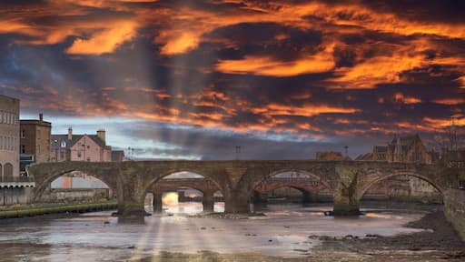 Ayr