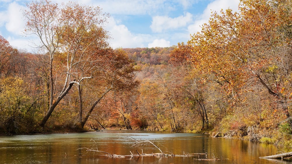 autumn leaves and trees on river