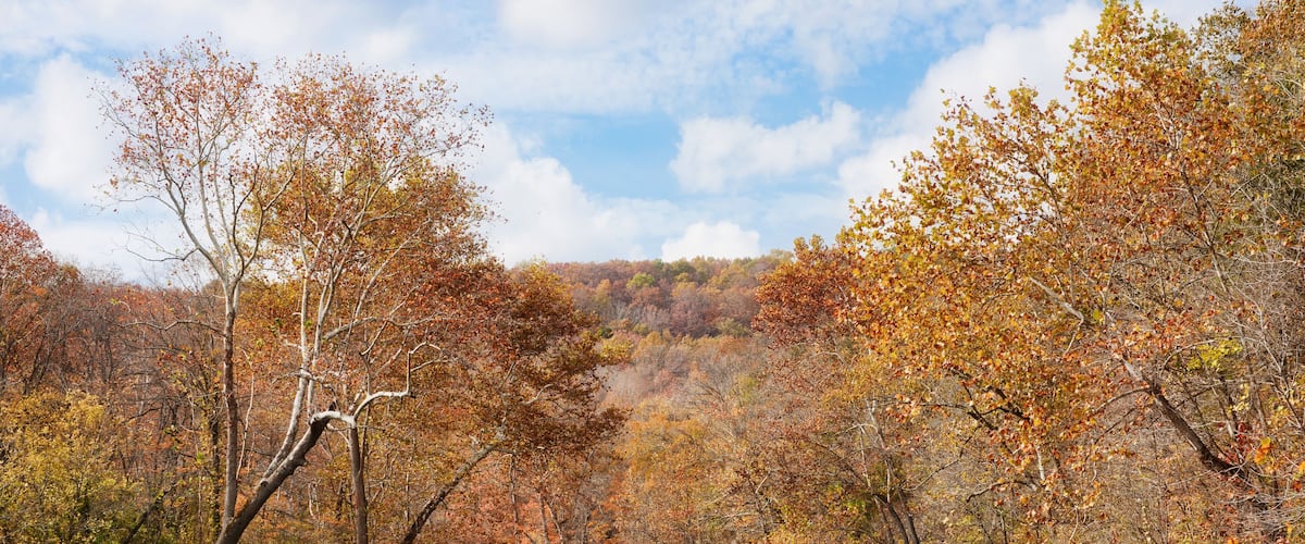 A river surrounded by autumn-colored trees and a forested hillside.