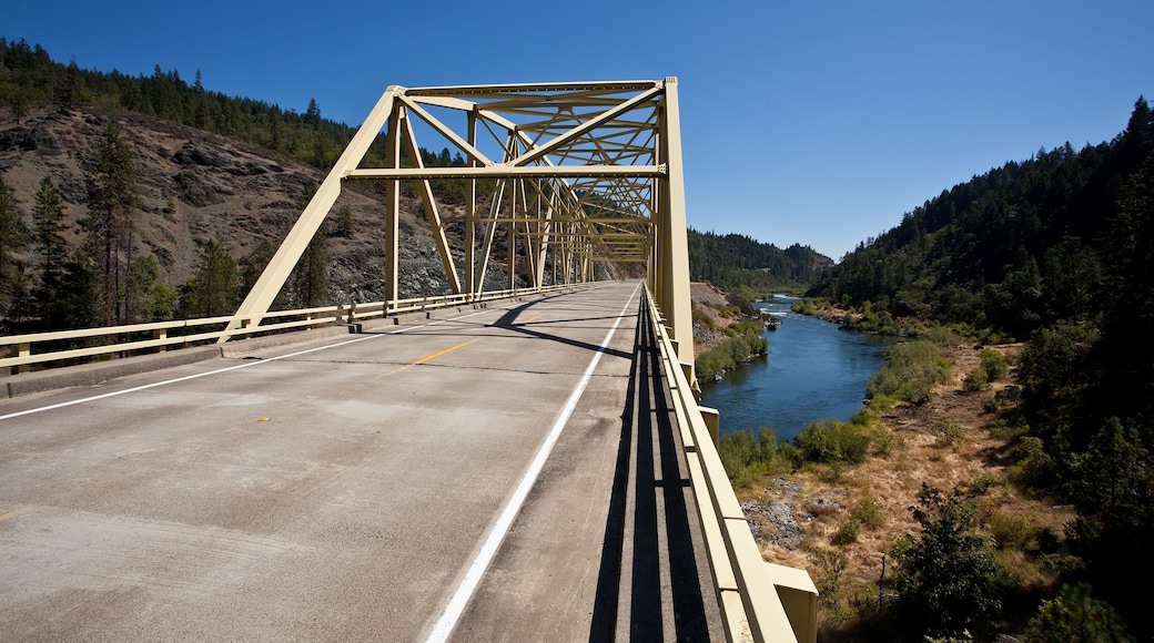 Steel bridge on Rogue River near Merlin, Oregon