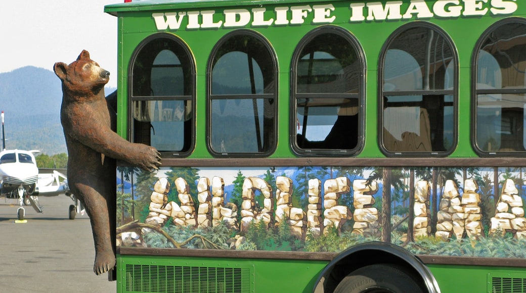梅林 呈现出 看板