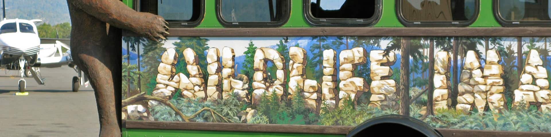 Merlin which includes signage