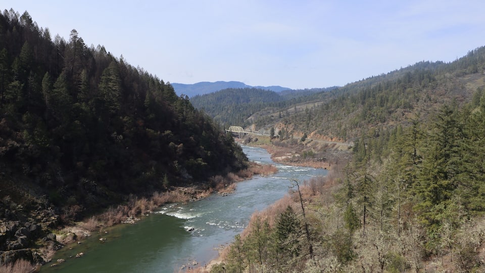 A river flowing through a forested valley with a bridge in the distance.