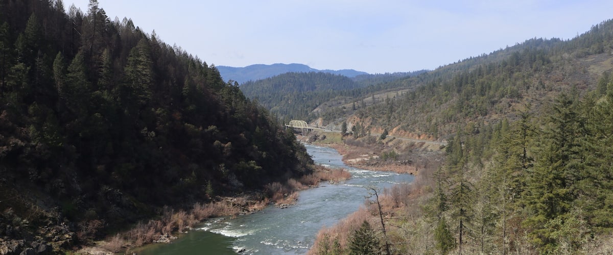 A river flowing through a forested valley with a bridge in the distance.