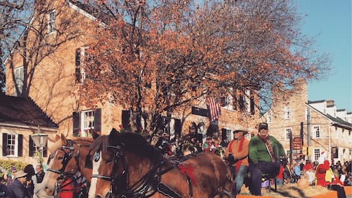 Middleburg, VA is a beautiful and sweet little town. During the first weekend of December, the town celebrates the holidays with a parade of horses and hounds, ready for the fox hunt; performances from area schools; even more horses; and all the corgis you could ever need. While I was only a visitor, I felt like I was a part of the small town joy and excitement for the holiday. This is certainly something I'll go back to!
#virginia #parades #holidays