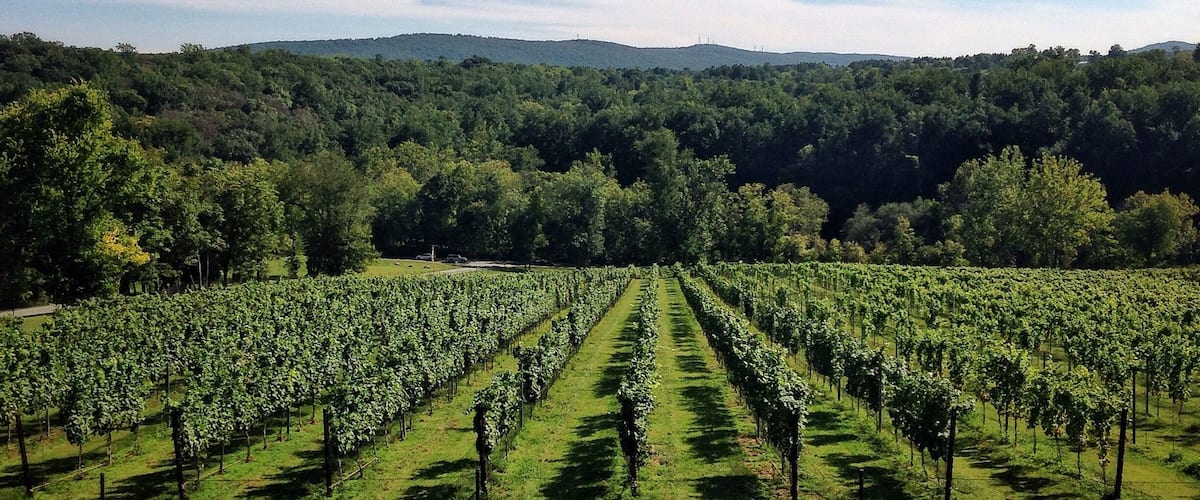 This winery is fairly new. I think they need a few more years to establish their wine selection. However the wines weren't terrible. I've just had better in this area. But the view from the upper deck is amazing. Definitely worth checking out if you are in the area. Staff is very friendly and knowledgeable. And their sangria was great! #drinkvirginiawine
#winesnob #virginia
#winery #canavineyard 
#outdoors