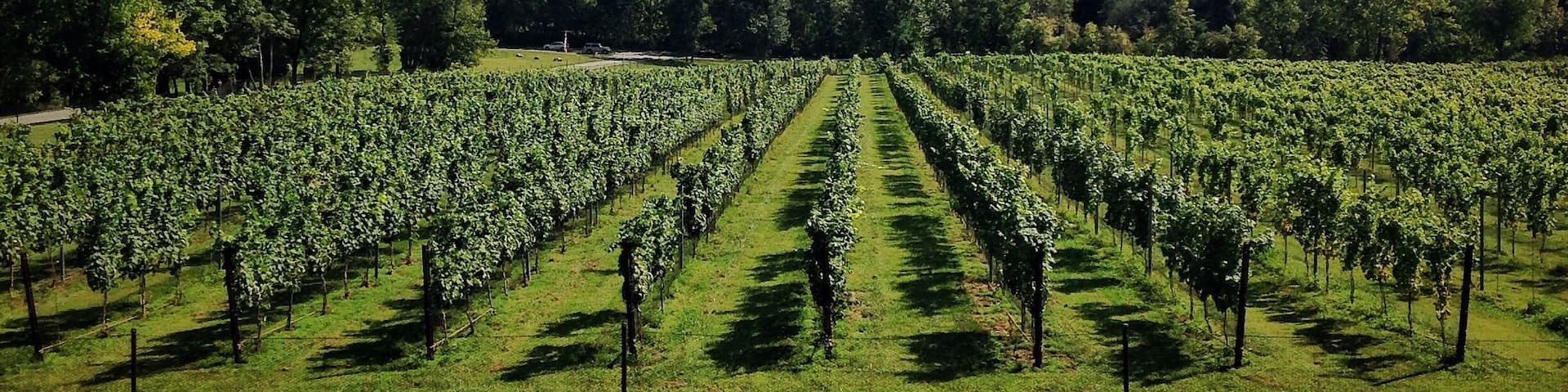 This winery is fairly new. I think they need a few more years to establish their wine selection. However the wines weren't terrible. I've just had better in this area. But the view from the upper deck is amazing. Definitely worth checking out if you are in the area. Staff is very friendly and knowledgeable. And their sangria was great! #drinkvirginiawine
#winesnob #virginia
#winery #canavineyard
#outdoors