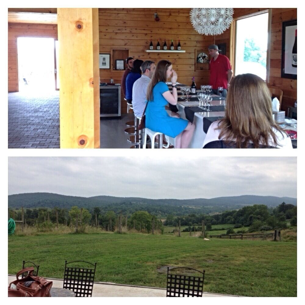 An terrific surprise find on a day of antiquing and vineyard stops. Leaves of Grass is wonderful. A beautiful tasting room in converted barn, great views, and amazing owner hosts. Only 4 wines right now but they are darn good. A long winding driveway right off Rt 50 and a little hard to find so go up driveway at 39060 john mosby (50) hwy. Love this place  