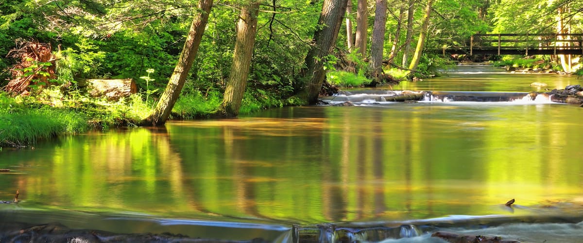 A calm river with a small waterfall, surrounded by lush greenery and trees.