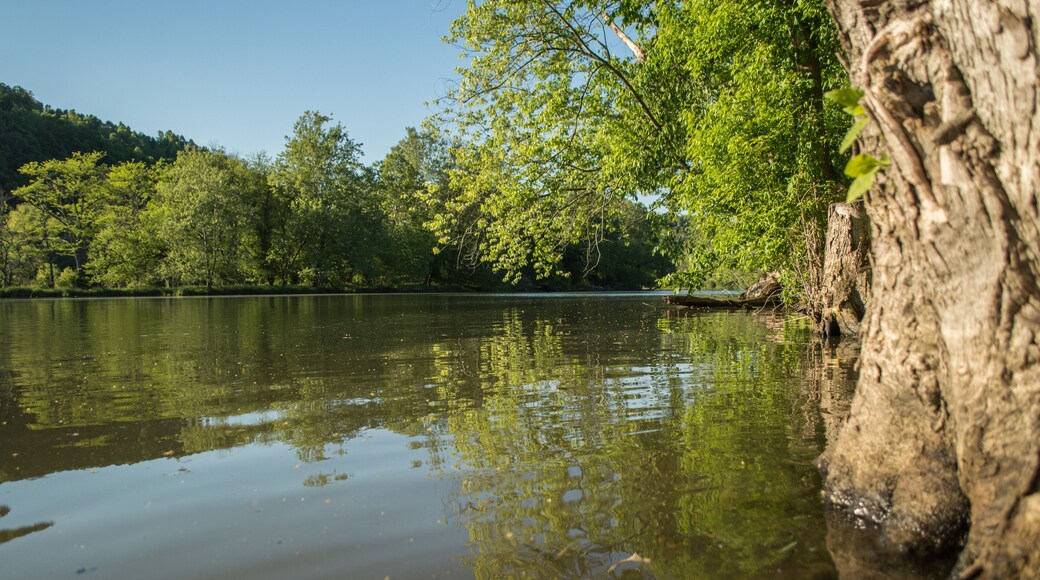 Gentle ripples on a flat water river.