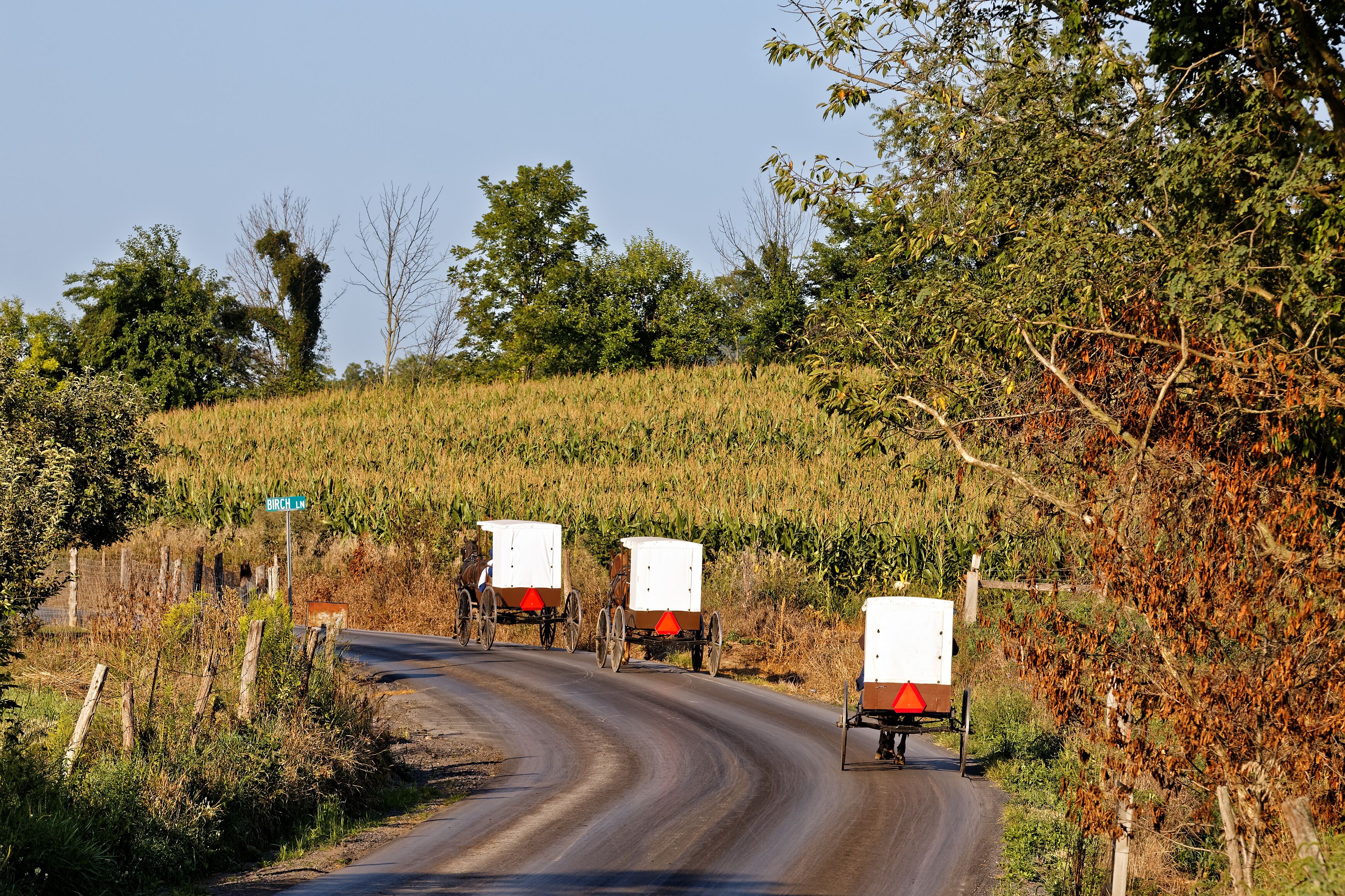 Amish Carriages in Rural Pennsylvania
