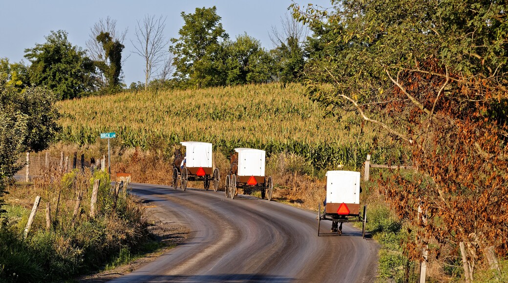 Amish Carriages in Rural Pennsylvania