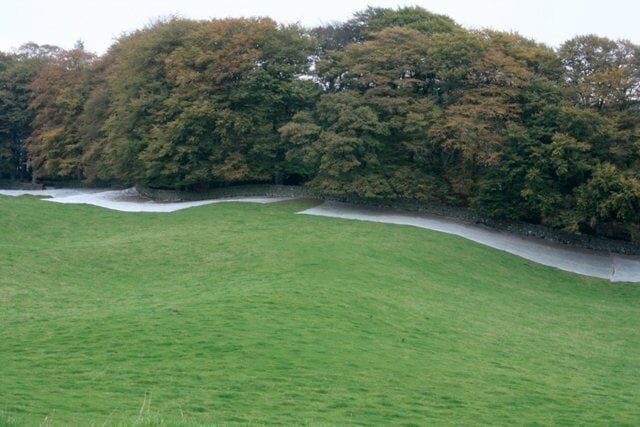 Woodland South of Auldgirth White sheets have been laid below the canopy presumably to gather the nuts. Hazel or acorns?