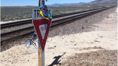 What you might expect to find in the Nevada desert.