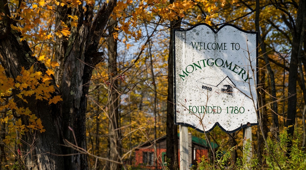 Montgomery, Vermont old sign with fall foliage landscape background