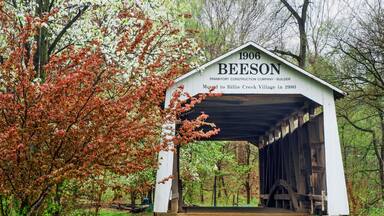 610-22 Beeson Covered Bridge in Spring