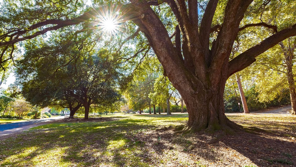 Cloverdale Park, Montgomery, Alabama