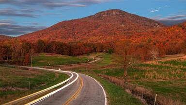 Yonah Mountain, Georgia, USA in Autumn