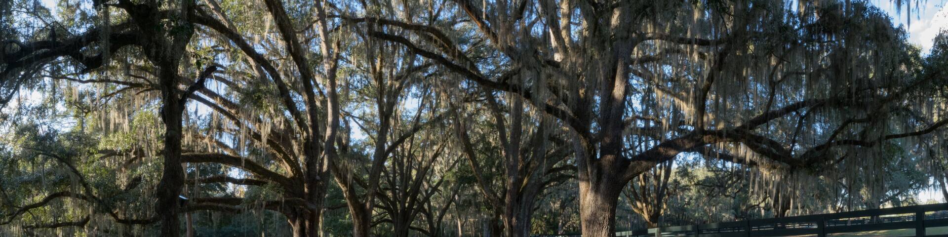 Georgia Plantation