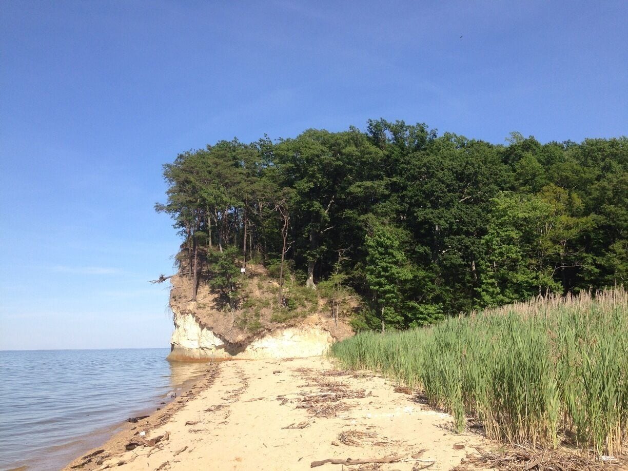 These cliffs are part of Stratford Hall which is the plantation where Robert E Lee was born. They also have excellent fossil hunting. This beach is in Westmoreland state park and has public access and fossil shark teeth and other finds from 17-10 million years ago!  
