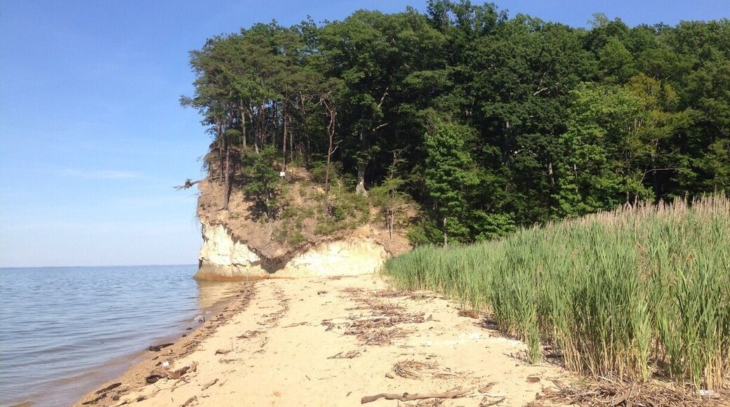 These cliffs are part of Stratford Hall which is the plantation where Robert E Lee was born. They also have excellent fossil hunting. This beach is in Westmoreland state park and has public access and fossil shark teeth and other finds from 17-10 million years ago!