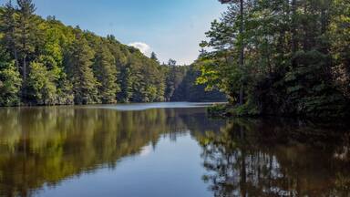 A calm lake surrounded by dense forest.