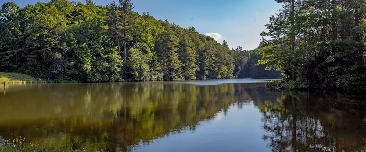 A calm lake surrounded by dense forest.