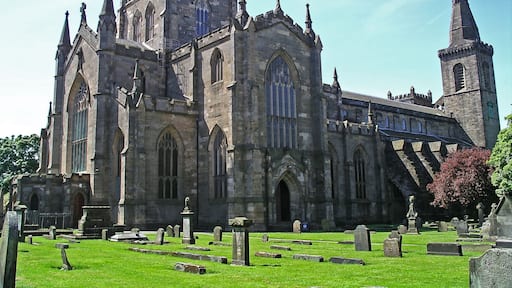 دانفيرملاين