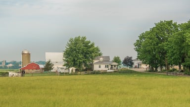 Amish farm in Indiana