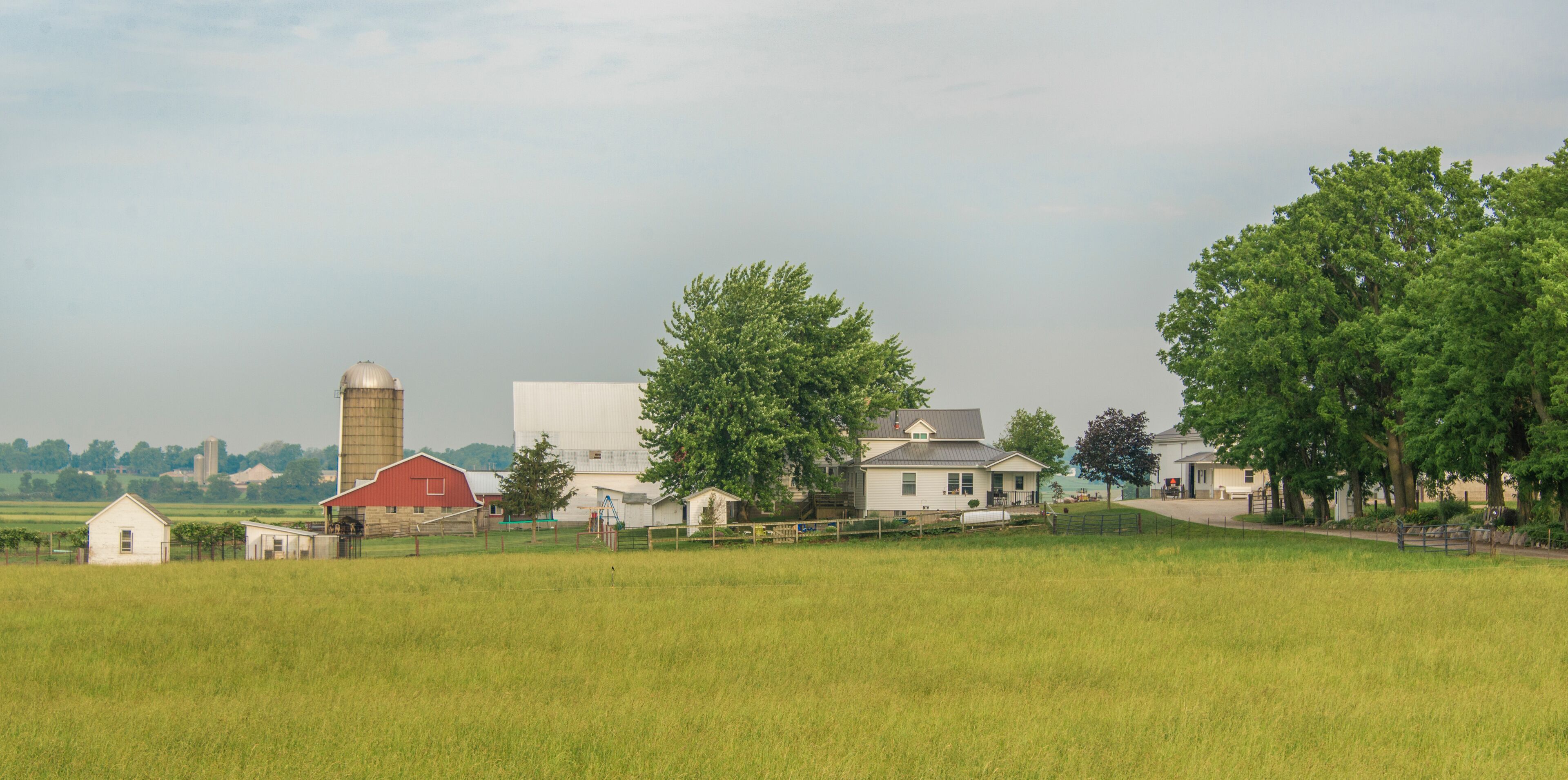 A rural landscape with a barn, a silo, and a farmhouse.