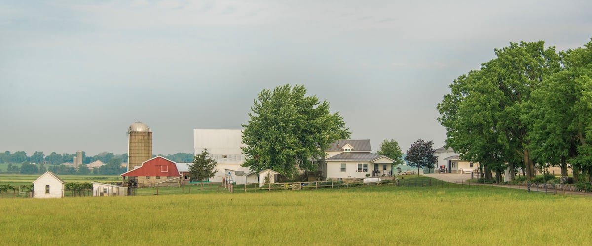A rural landscape with a barn, a silo, and a farmhouse.